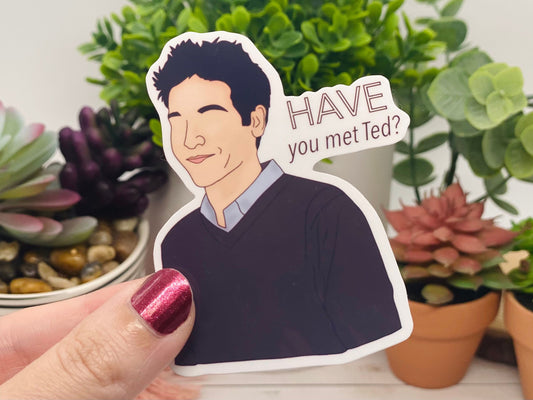 Have You Met Ted Sticker, How I Met Your Mother Sticker, HIMYM Stickers, Ted Mosby, Waterproof Stickers, Vinyl Decal