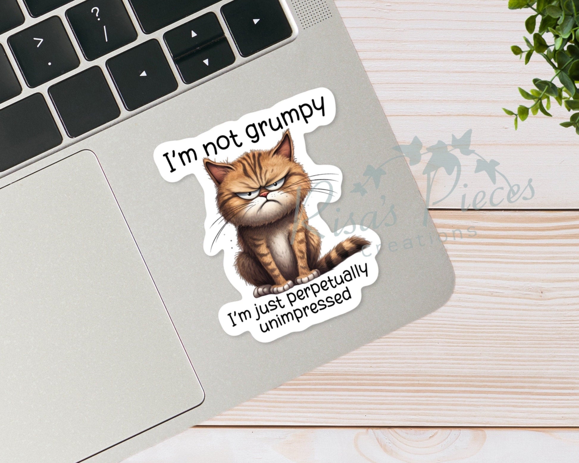 I’m Not Grumpy Sticker, Funny Sticker for Laptop, Stocking Stuffer For Friend, Snarky Sticker, For Coworkers, for Water Bottle, Secret Santa