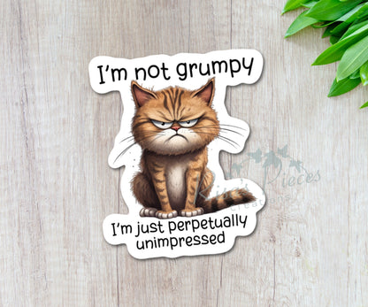 I’m Not Grumpy Sticker, Funny Sticker for Laptop, Stocking Stuffer For Friend, Snarky Sticker, For Coworkers, for Water Bottle, Secret Santa