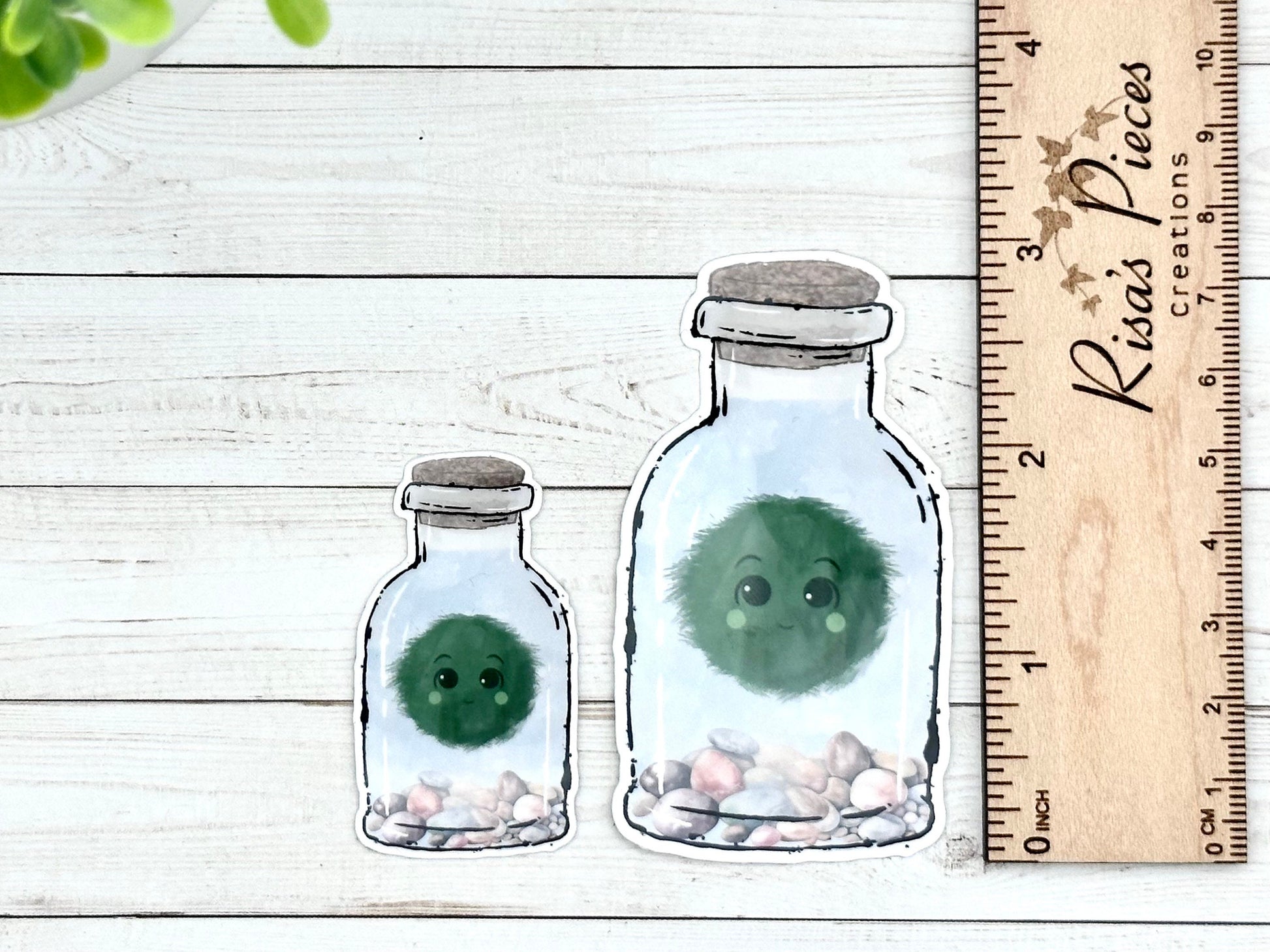 Marimo Moss Ball In Bottle Pet Plant Sticker gift for Plant Mom, Naturecore, Aesthetic Stickers for Laptop, Stocking Stuffer for Plant Lover