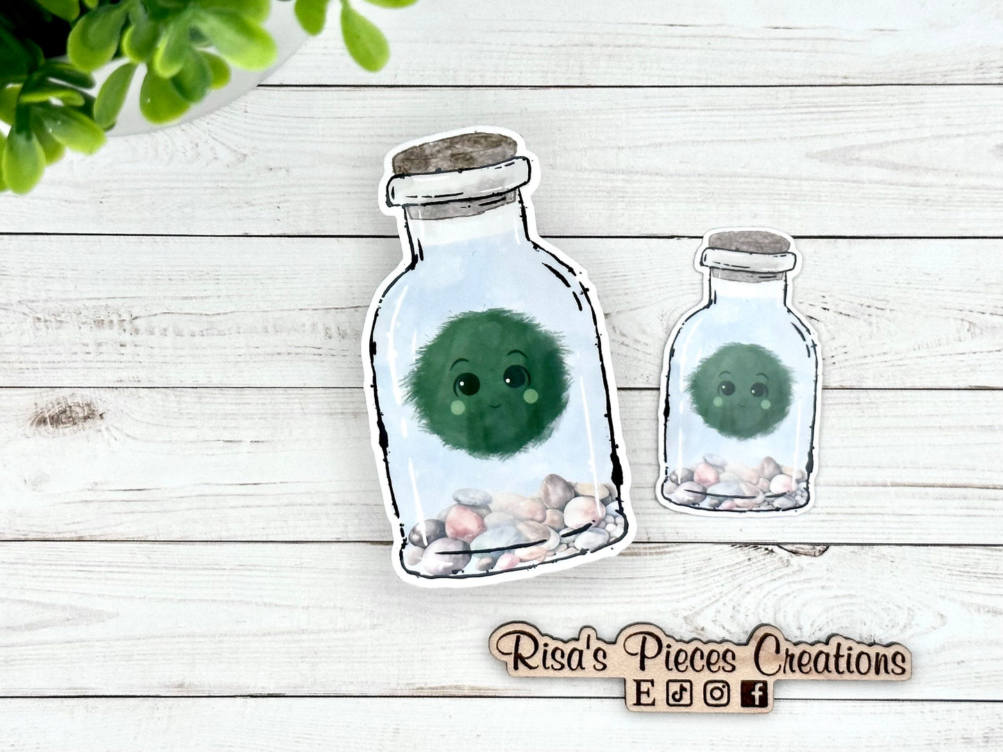 Marimo Moss Ball In Bottle Pet Plant Sticker gift for Plant Mom, Naturecore, Aesthetic Stickers for Laptop, Stocking Stuffer for Plant Lover
