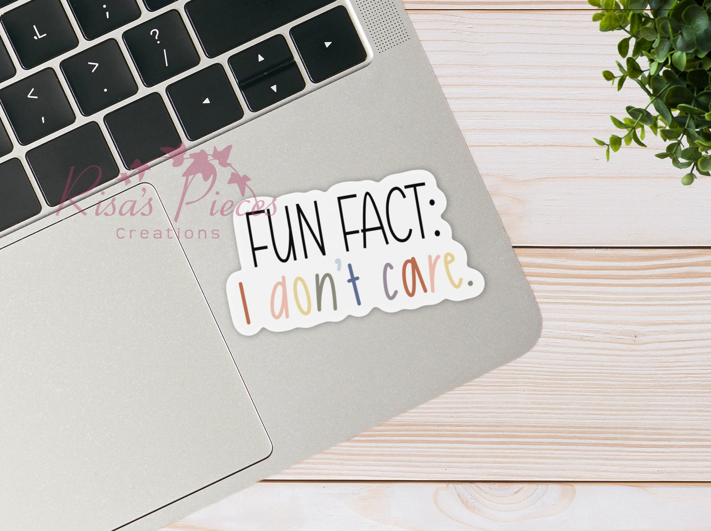 Fun Fact I Don’t Care funny sticker for Laptop, Best Friend Gift for Him, Secret Santa Gift for coworker, Snarky Water Bottle Stickers,