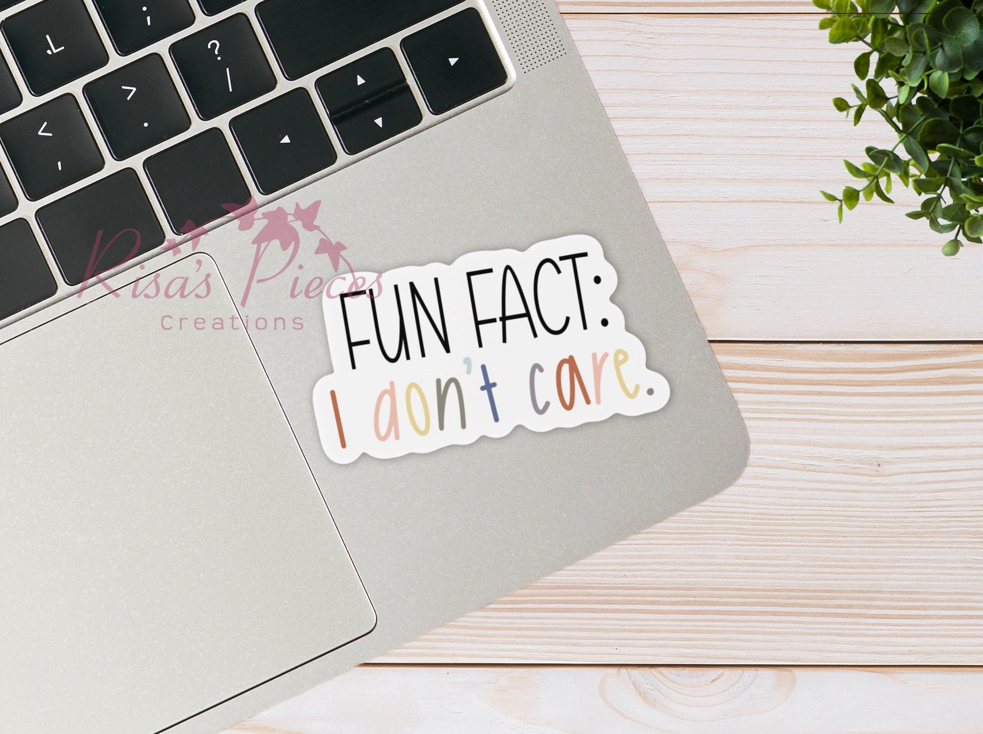 Fun Fact I Don’t Care funny sticker for Laptop, Best Friend Gift for Him, Secret Santa Gift for coworker, Snarky Water Bottle Stickers,
