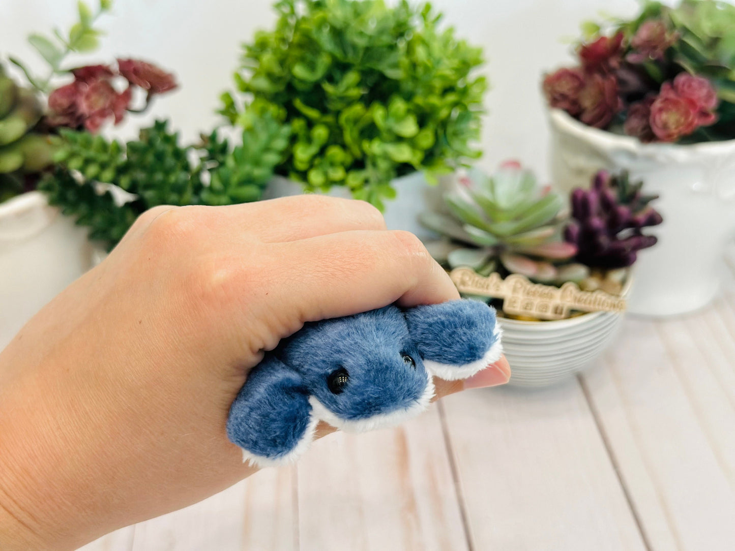 Fidget Frog, Pocket Frog Sensory Comfort item, sensory fidget, emotional calming, beanie animal, soothing support, worry pet toad, stim