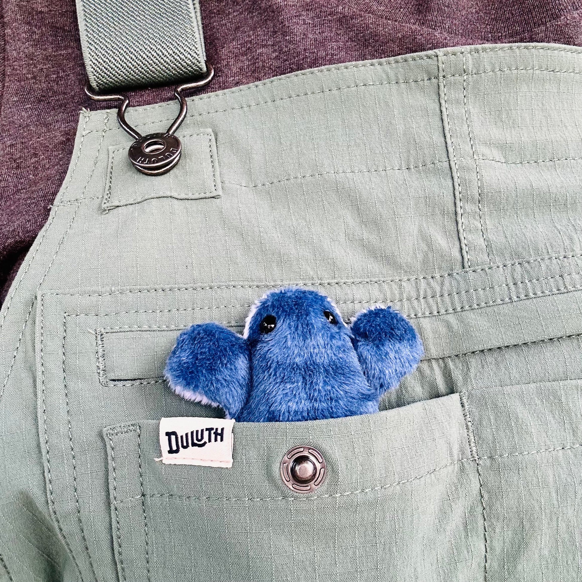 Fidget Frog, Pocket Frog Sensory Comfort item, sensory fidget, emotional calming, beanie animal, soothing support, worry pet toad, stim