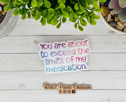 Exceed the Limits, Funny Sticker for Laptop, Birthday gift For Friend, Snarky Stickers, Friend Humor,Water Bottle Stickers,Gift for Coworker
